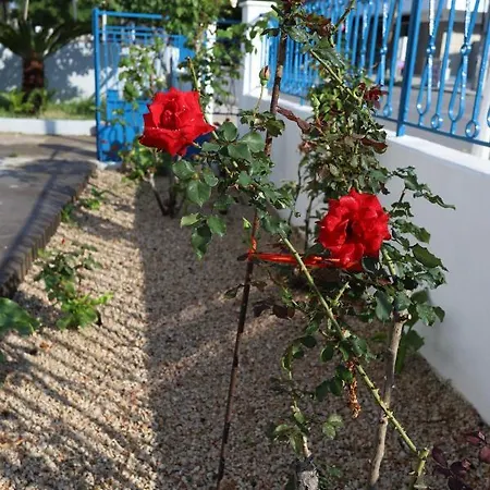 Traditional Town Garden Apartman *