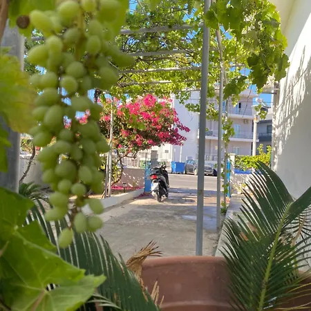 Apartman Traditional Town Garden *