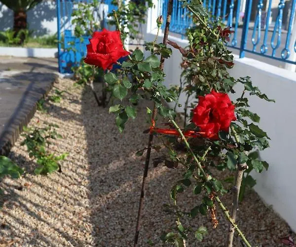 Traditional Town Garden Apartment *