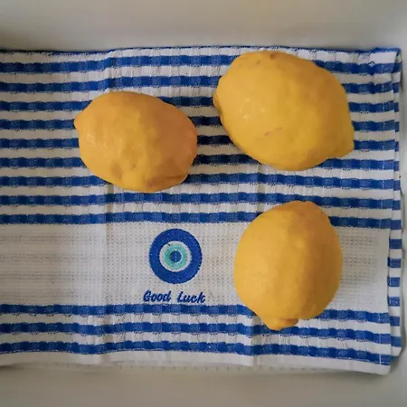 Traditional Town Garden *